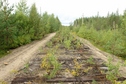 #8: Old railway