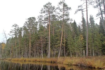 #1: General view from the lake / Общий вид с озера