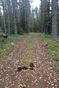 #7: Road to the lake / Дорога к озеру