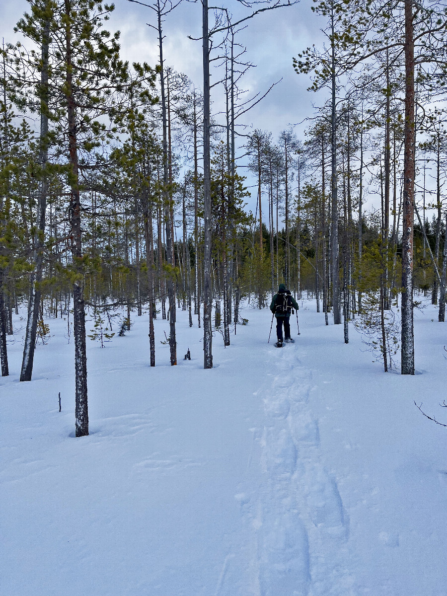You can only snowshoed through deep snow