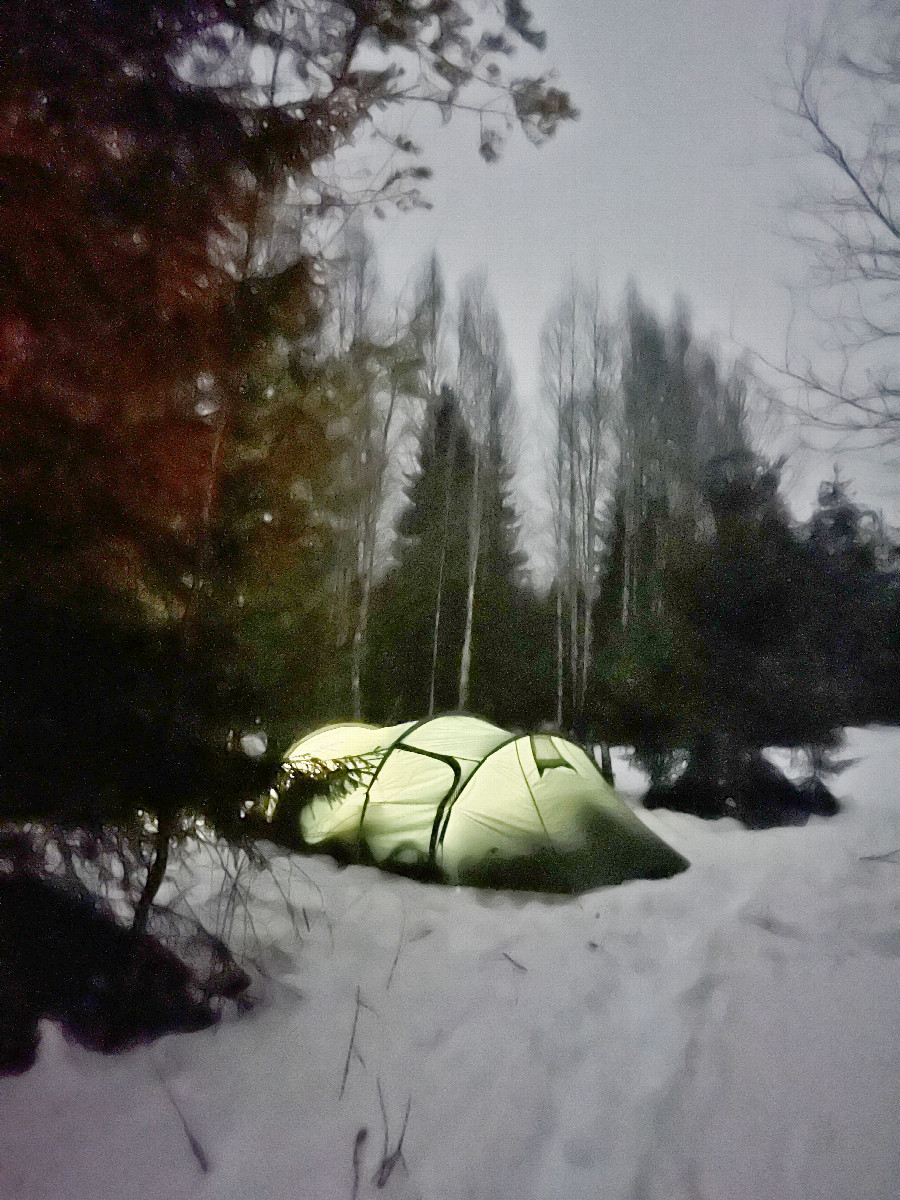 Tent in the forest