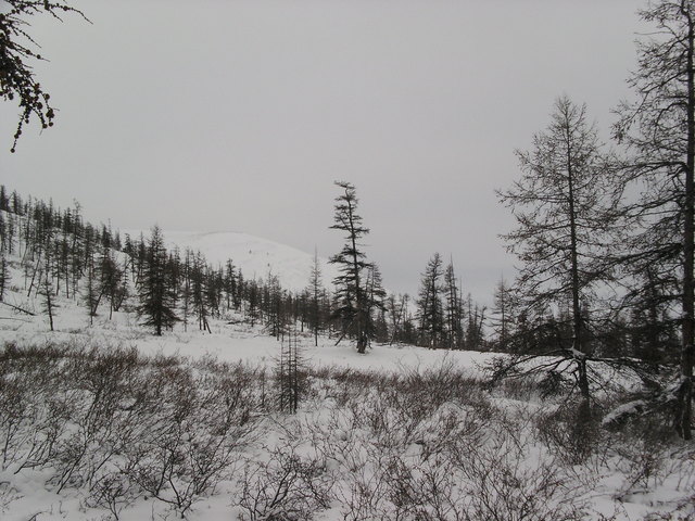 Looking south from the confluence