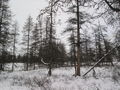 #5: Looking east of the confluence