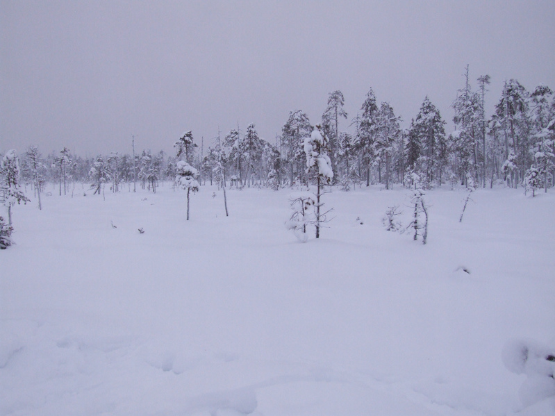 Вид на север / View to North