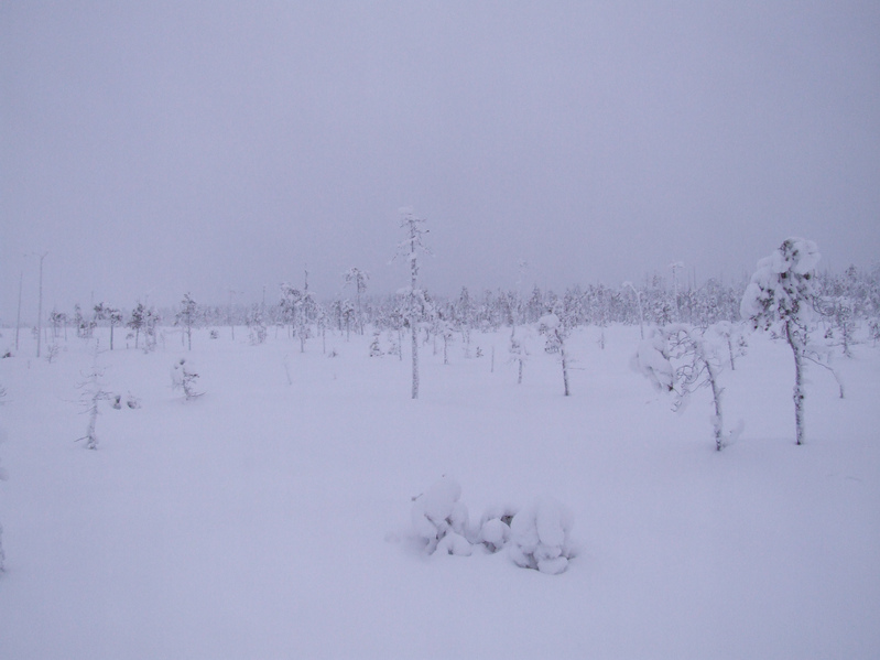 Вид на юг / View to South