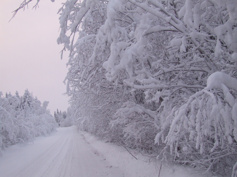Зимняя дорога / Winter road