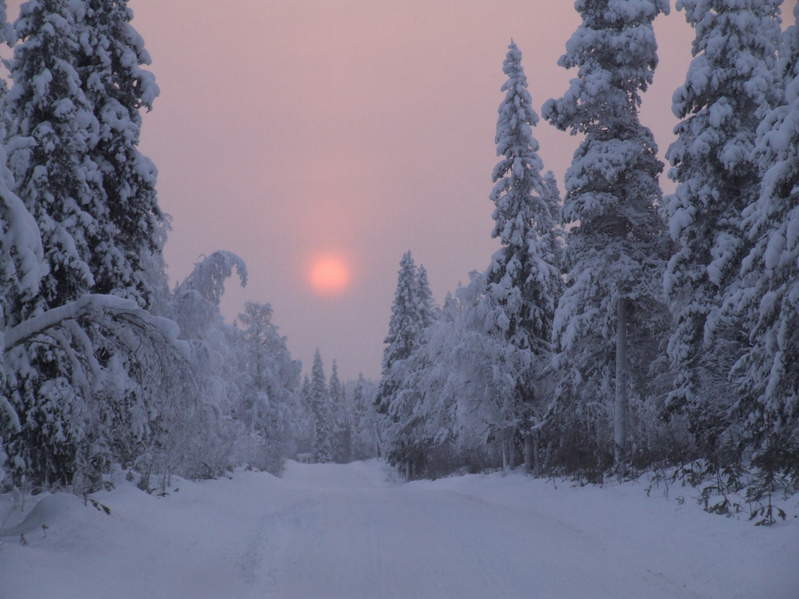 Приполярное солнце / Arctic Sun