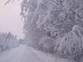 #6: Зимняя дорога / Winter road