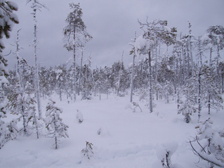 #1: Вид на север / View to North