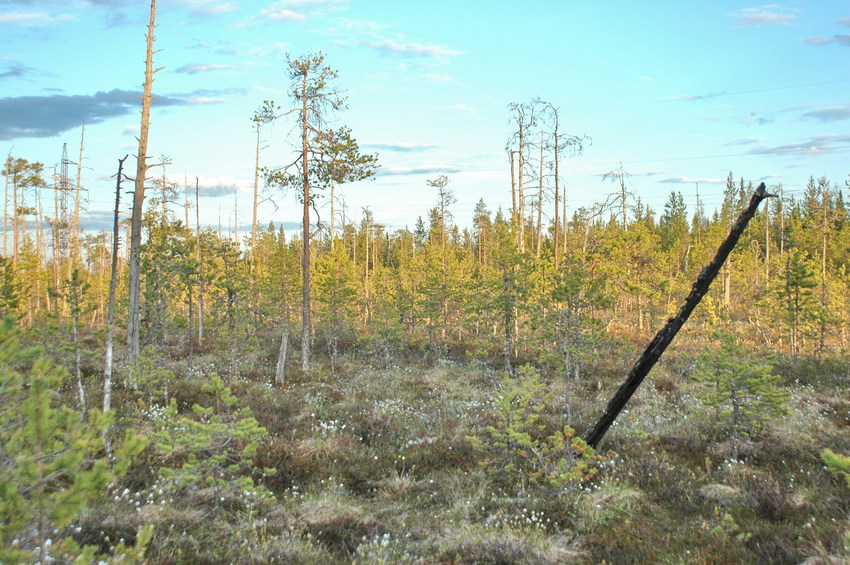 Surrounding area/Окружающая местность