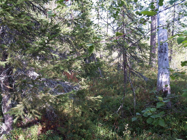 Confluence point - view to east