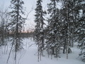 #5: West view