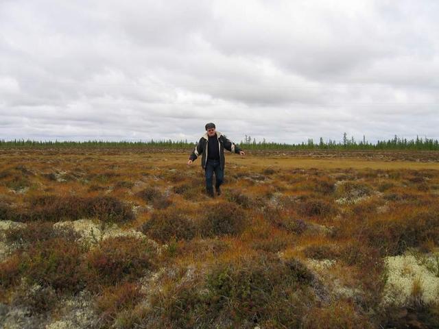 Болото, кочки, хантер -- Bog, hummocks, hunter