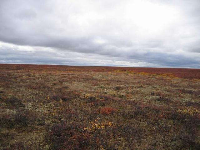 запад -- West