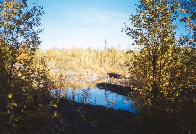 Autumn forest