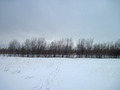 #4: West view