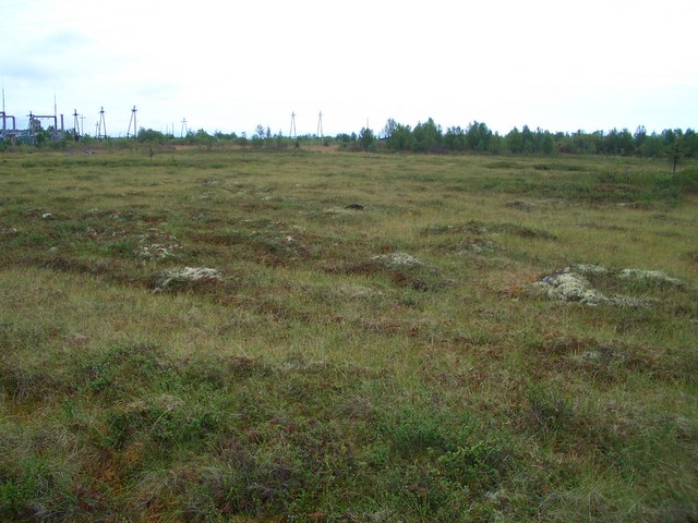 General view of the confluence