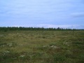 #5: View to the West