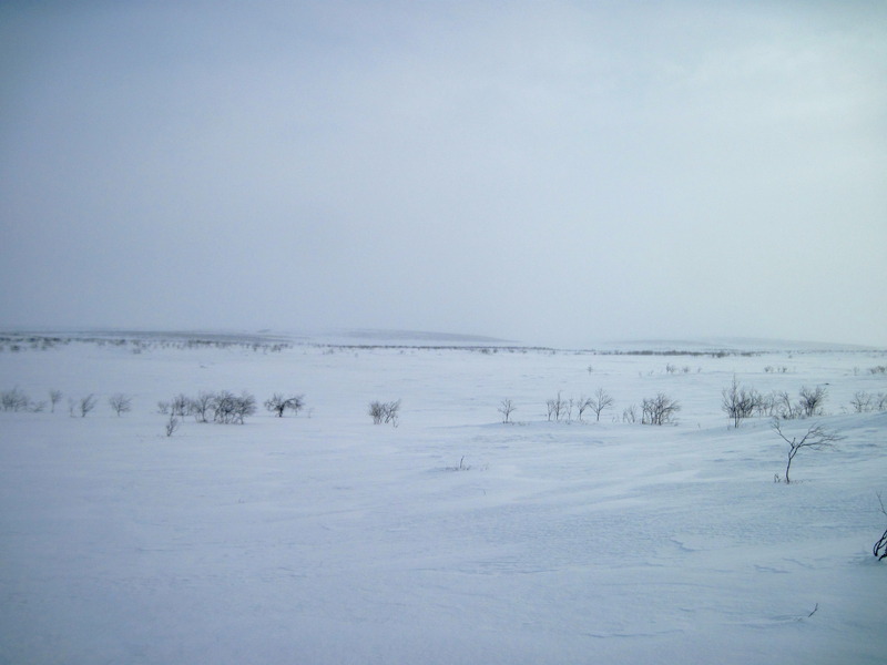 East view