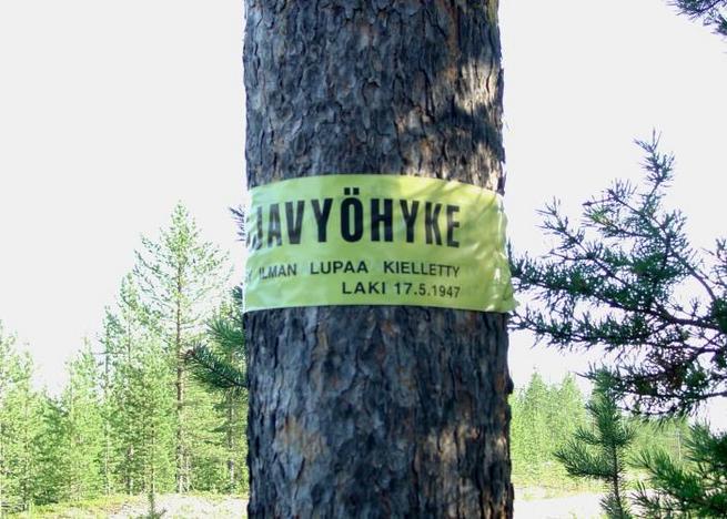 Marked on the trees / Grenzzonenmarkierung an Bäumen