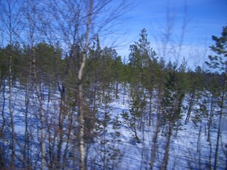 #1: Terrain just west of the confluence point as seen from the south