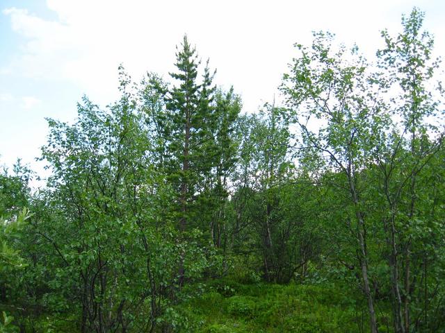 View to the South