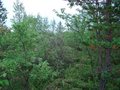 #4: View to the East