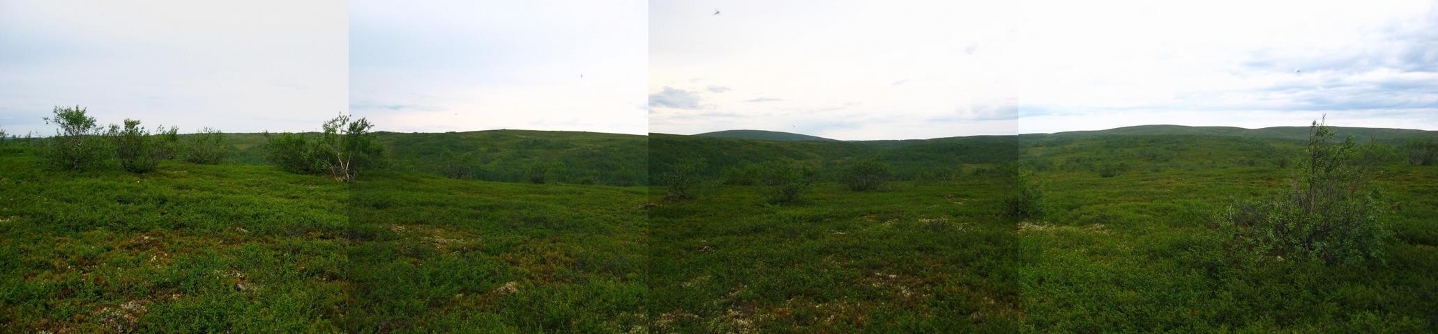 Panorama North