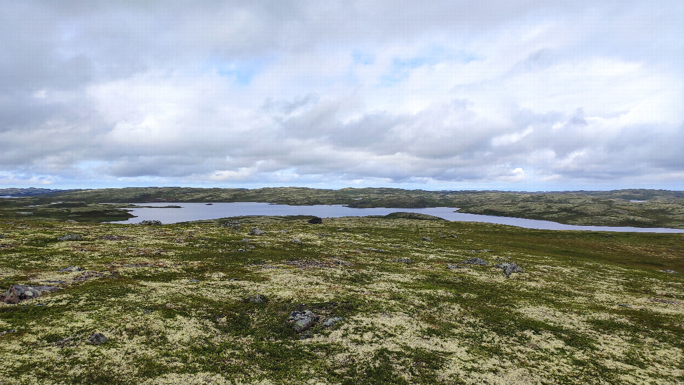 The East view from the confluence