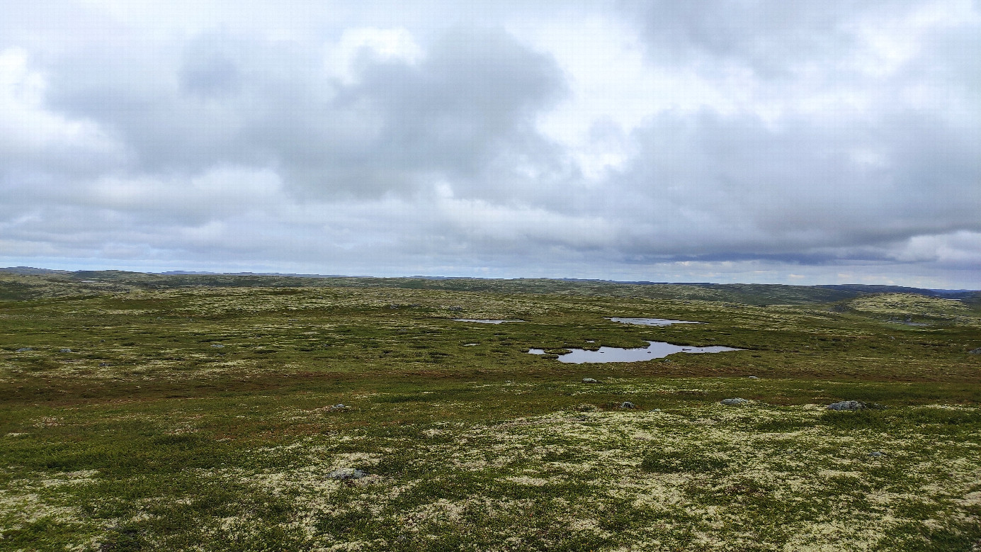 The South view from the confluence