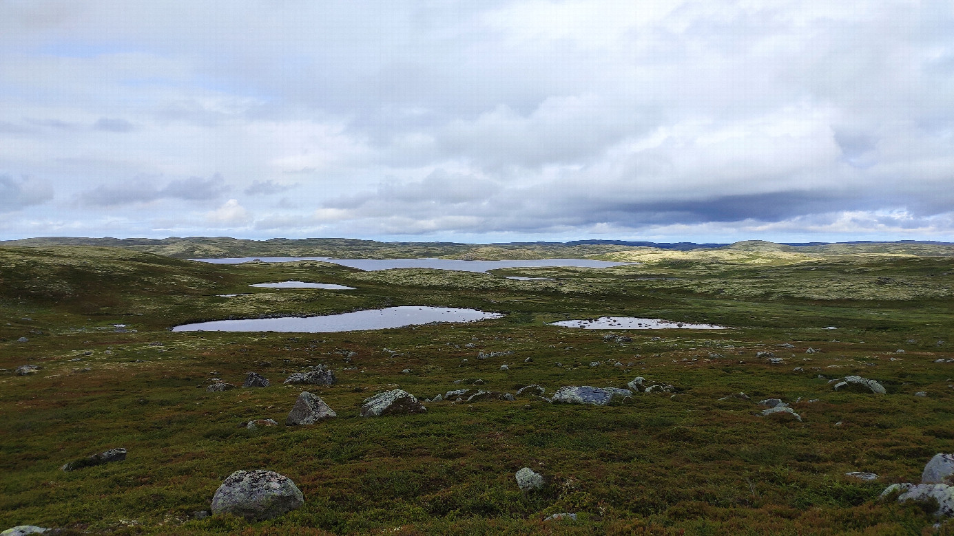 The North view from the confluence