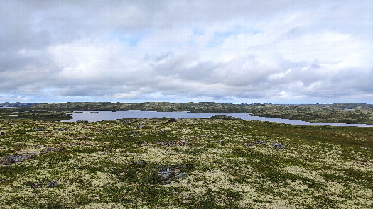 #1: The East view from the confluence