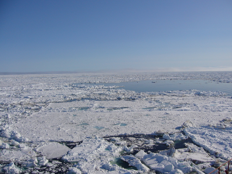 View south: sea ice on the Barents Sea