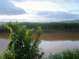 #1: The confluence point is behind the tree, in the water