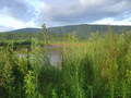 #8: View of one of the thousands hills of Rwanda from the confluence point