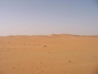 #1: Looking north towards the dunes.