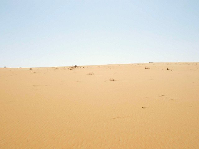 View South from the Confluence