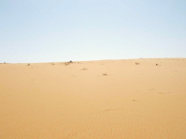 View South from the Confluence