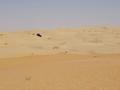 #10: The dunes