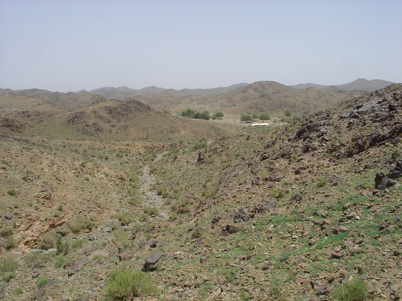 View to the North