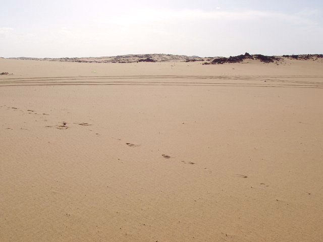 North view