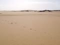 #3: North view