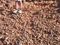 #6: The strange sandstone balls that littered the ground at the campsite