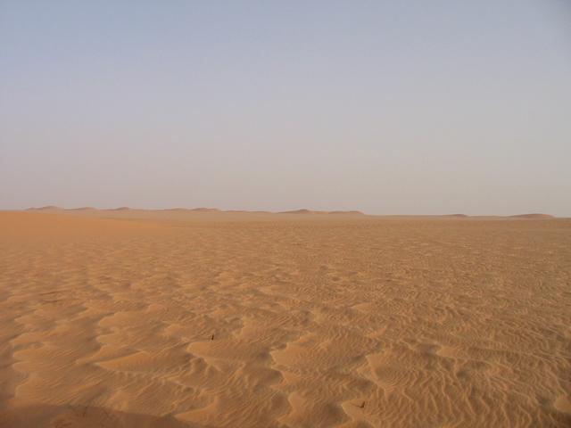 Looking north towards the dunes.