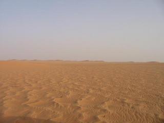 #1: Looking north towards the dunes.