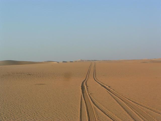 More dunes