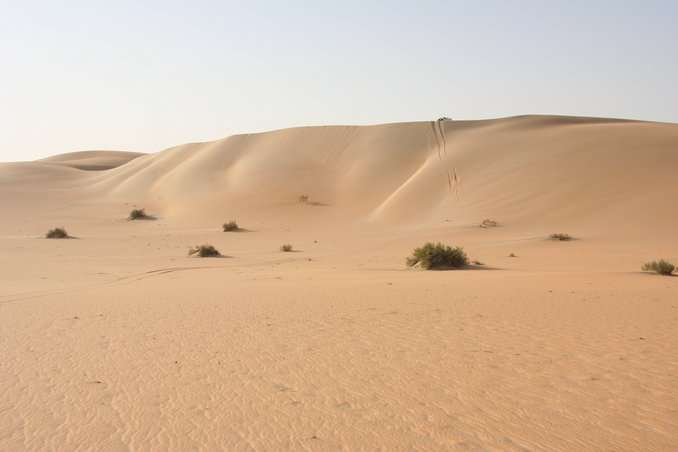 More dunes - View south