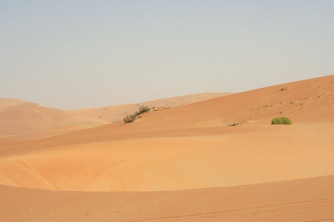 East View