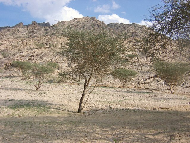 The east view towards the Confluence