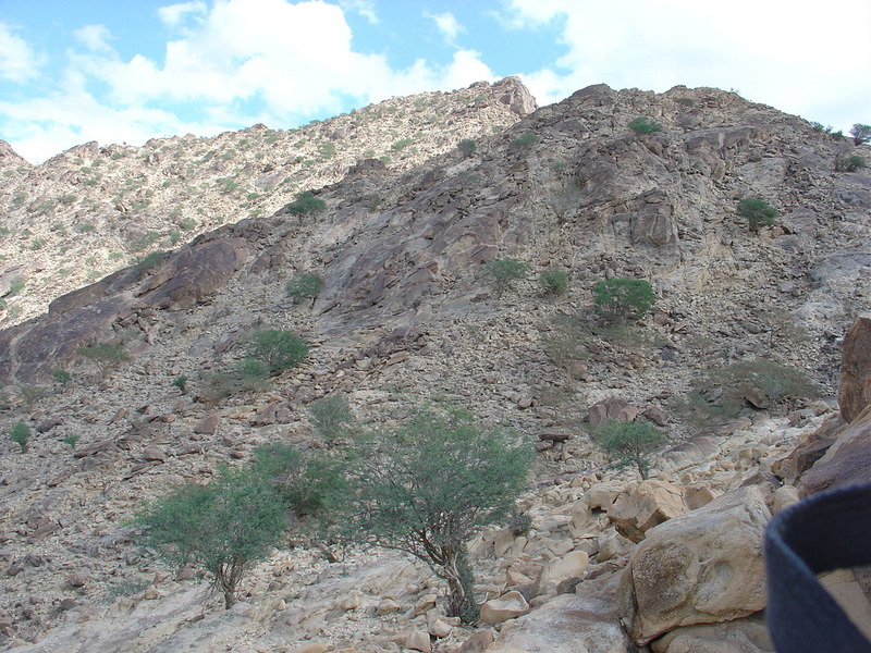 View East